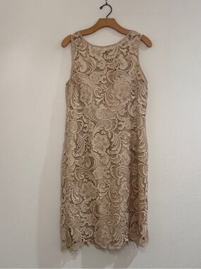 Adrianna Papell Champagne Illusion Yoke Floral Lace Sheath Dress size 12
